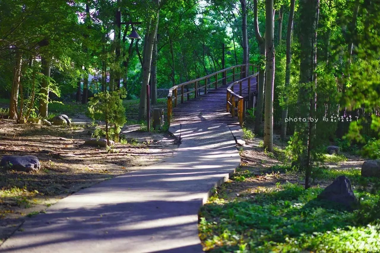 北京汤泉度假酒店排名,京城度假酒店