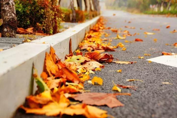 唐山今天晚上最低气温多少度,唐山今天气温多少度