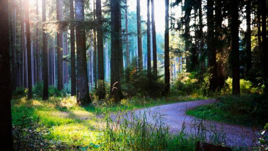 用手工皂洗脸有害吗,使用硫磺皂需谨慎