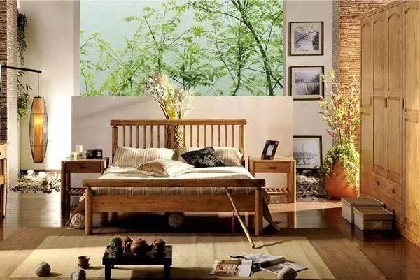 室内吸毒植物养护,能吸毒的盆栽植物有哪些