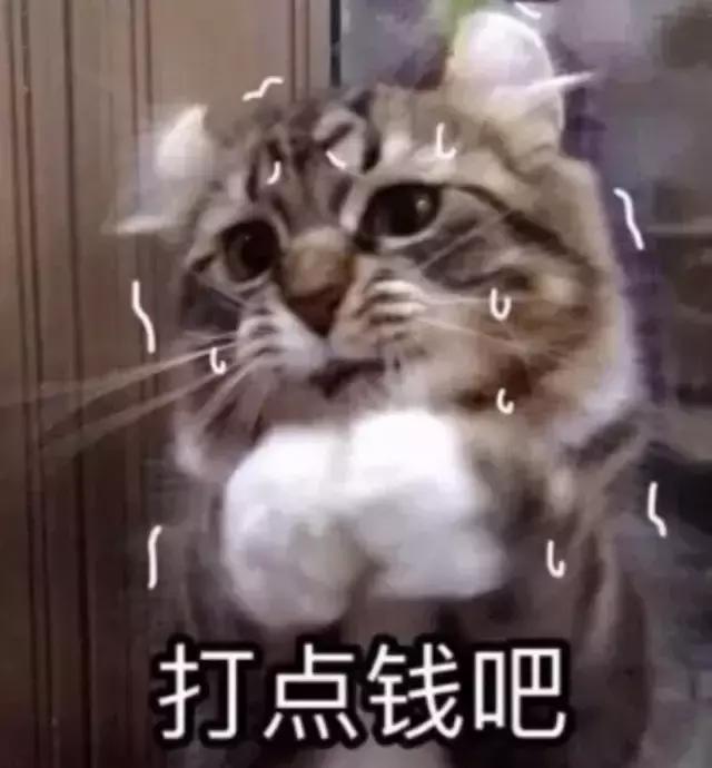 全肤质攻略秋冬到底用啥面霜,男士秋冬油皮公认最好的面霜