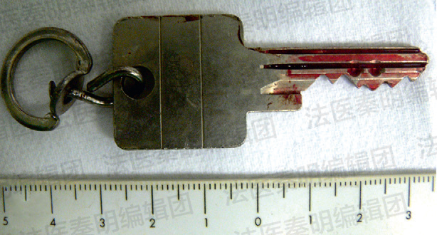 我们真的不想在假期开始前来一期重口味更新的