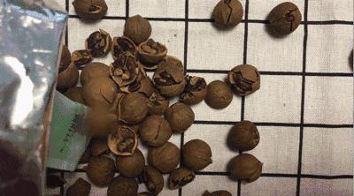 中秋送礼不用月饼送什么,中秋节送礼月饼配啥好