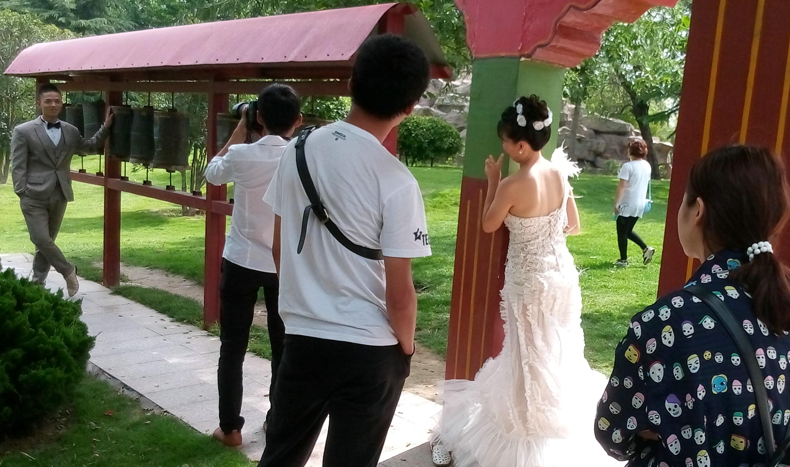 郑州绿博园游玩攻略大全,郑州园博园与郑州绿博园谁面积大