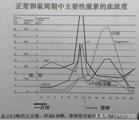 不孕不育吧,我有不孕症