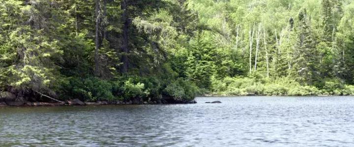 丧丧的却很治愈的片子,一部很丧的片子