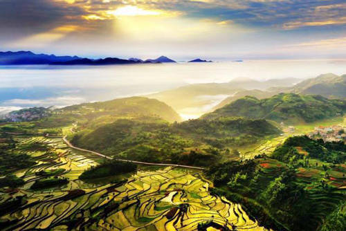 风吹稻浪黄金灿原创,风吹稻田金灿灿原文