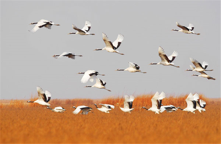 一个真实的故事原创,一个真实的故事有几个版本