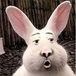 天呐，别人的化妆包怎么那么好看你的却那么丑？