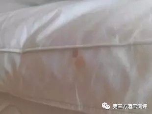 jw万豪有什么特色,万万没想到你是这样的人视频