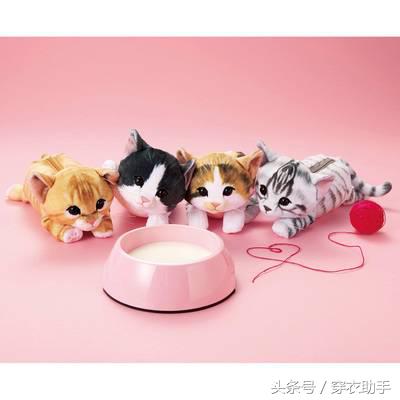 提升猫咪智商的玩具,提高猫咪的生活品质