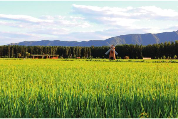 京郊采摘,秋天京郊采摘好去处