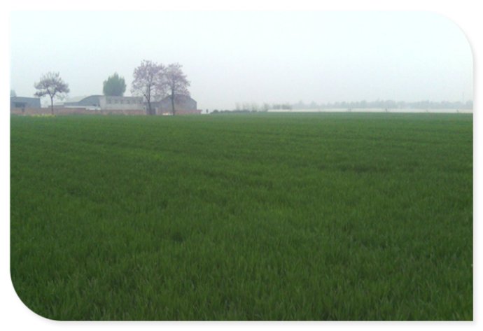 长安区马王镇新庄村,西安市古村古镇