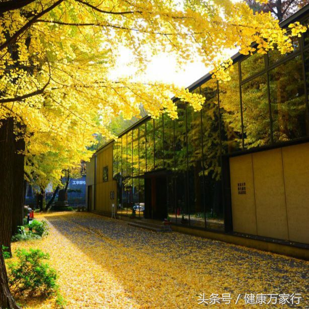 什么是靶向治疗,啥叫靶向治疗