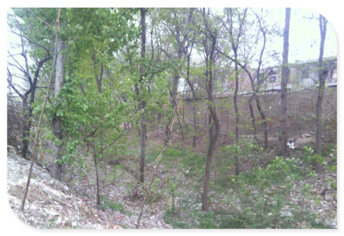 长安区马王镇新庄村,西安市古村古镇