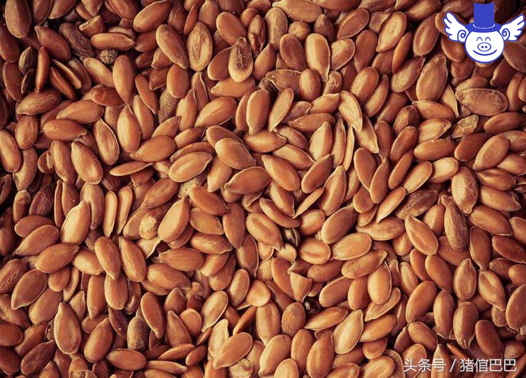 猪中毒了紧急处理怎么弄,猪中毒的七种应急处理措施是