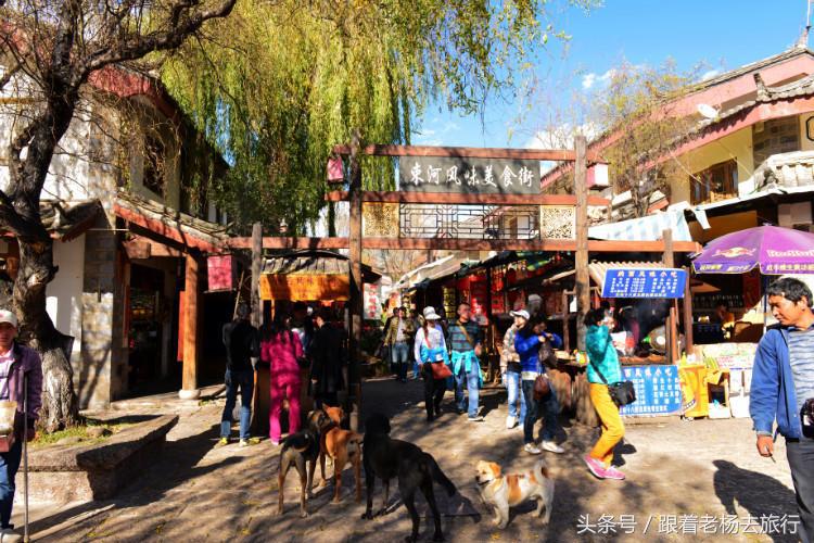 晚上束河古镇游玩攻略,丽江到束河古镇攻略