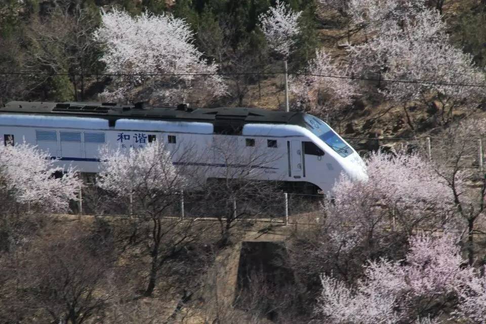 开往春天的列车，我们看图就行了