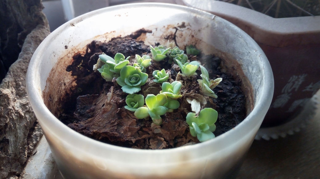 华为畅享5s到底怎么样,华为畅享5好还是华为畅享5s好