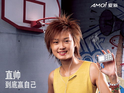 夏新手机第一代,夏新手机哪一年开始衰落的