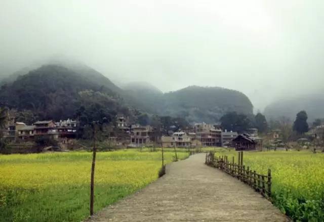 清明小长假出游提醒 (清明小长假微信消息)