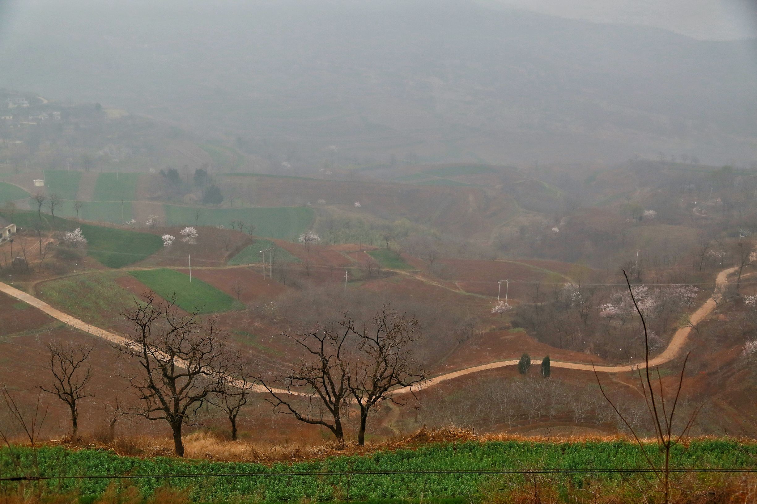 聚焦陕西蓝田泄湖镇,蓝田县洩湖镇发展规划