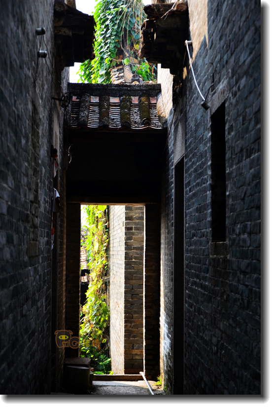 十二道锋味谢霆锋潮汕牛肉,十二道锋味隆苑咖啡谢霆锋