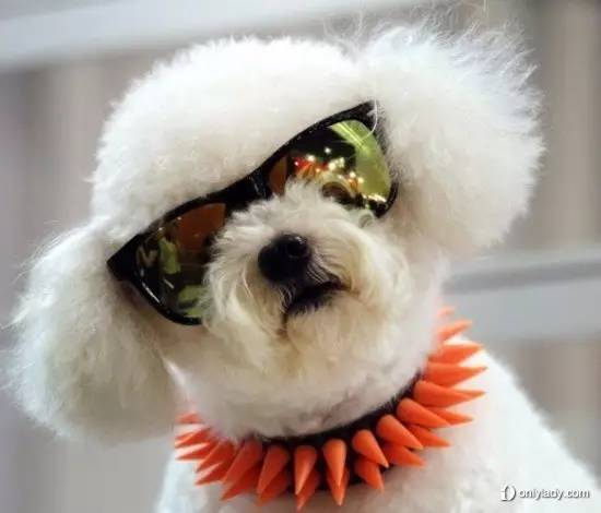 原来开车戴墨镜真不是为了耍酷,开车戴墨镜为什么这么酷