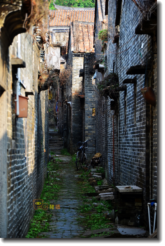 十二道锋味谢霆锋潮汕牛肉,十二道锋味隆苑咖啡谢霆锋