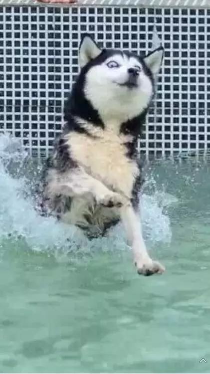 爱情的巨轮说沉就沉淀,爱情的巨轮说沉就沉下句怎么接