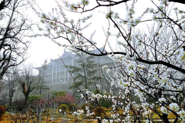 趣谈山大趵突泉校区，春风十里不如你