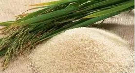 开战的前提是能否接受失败,最荒谬的开战理由