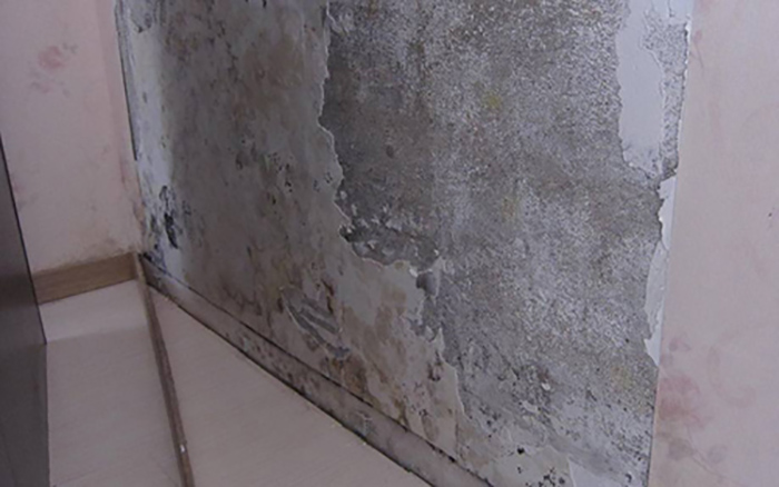 房屋浸水发霉怎么处理,墙壁返潮发霉和漏水发霉怎么区分