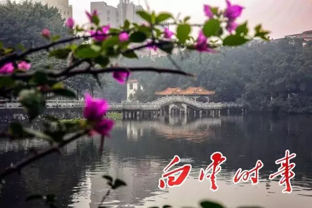 白云有几个村分别叫什么,白云有多少个村