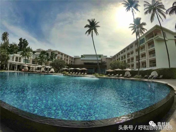 鍛煎拰娴╃壒鍒版櫘鍚夊矝,鍒锋垜婊村崱娉板浗鍘熺増