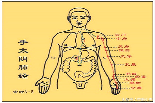 肺经疏通的方法与时间,肺经的正确疏通方法