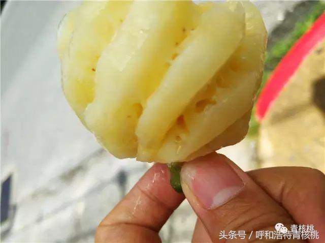 刷我滴卡泰国话,刷我滴卡泰国原版