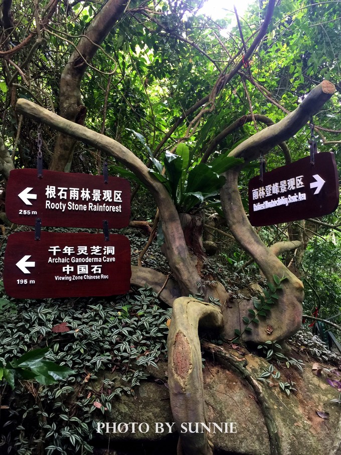 北纬十八度之三亚,北纬18度的旅行三亚游记