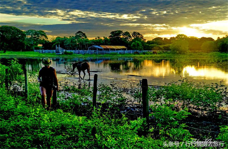 金砖旅行→→10000公里的飞行→→到桑巴国:巴西
