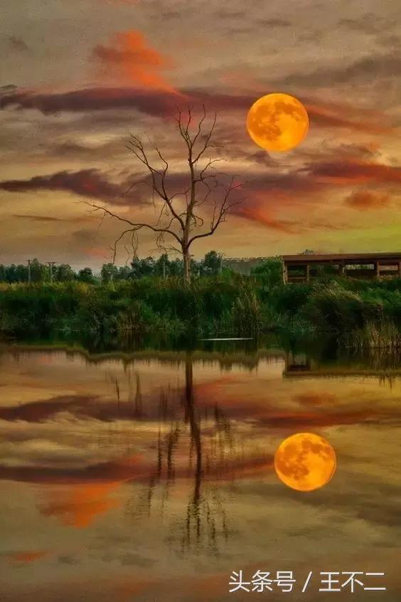 脑洞有多大故事,脑洞有多大想象就有多丰富