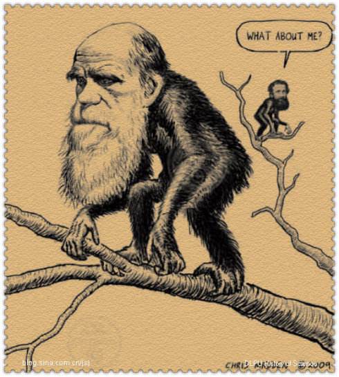 盘点关于科学上的哪些版权之争，比如灯泡的发明人就有5人之多