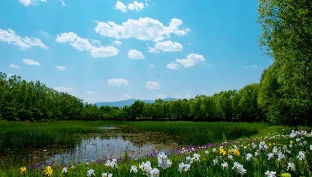 清明小长假出游提醒 (清明小长假微信消息)