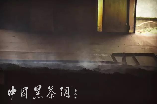 世博茶叶,中国十大世博名茶