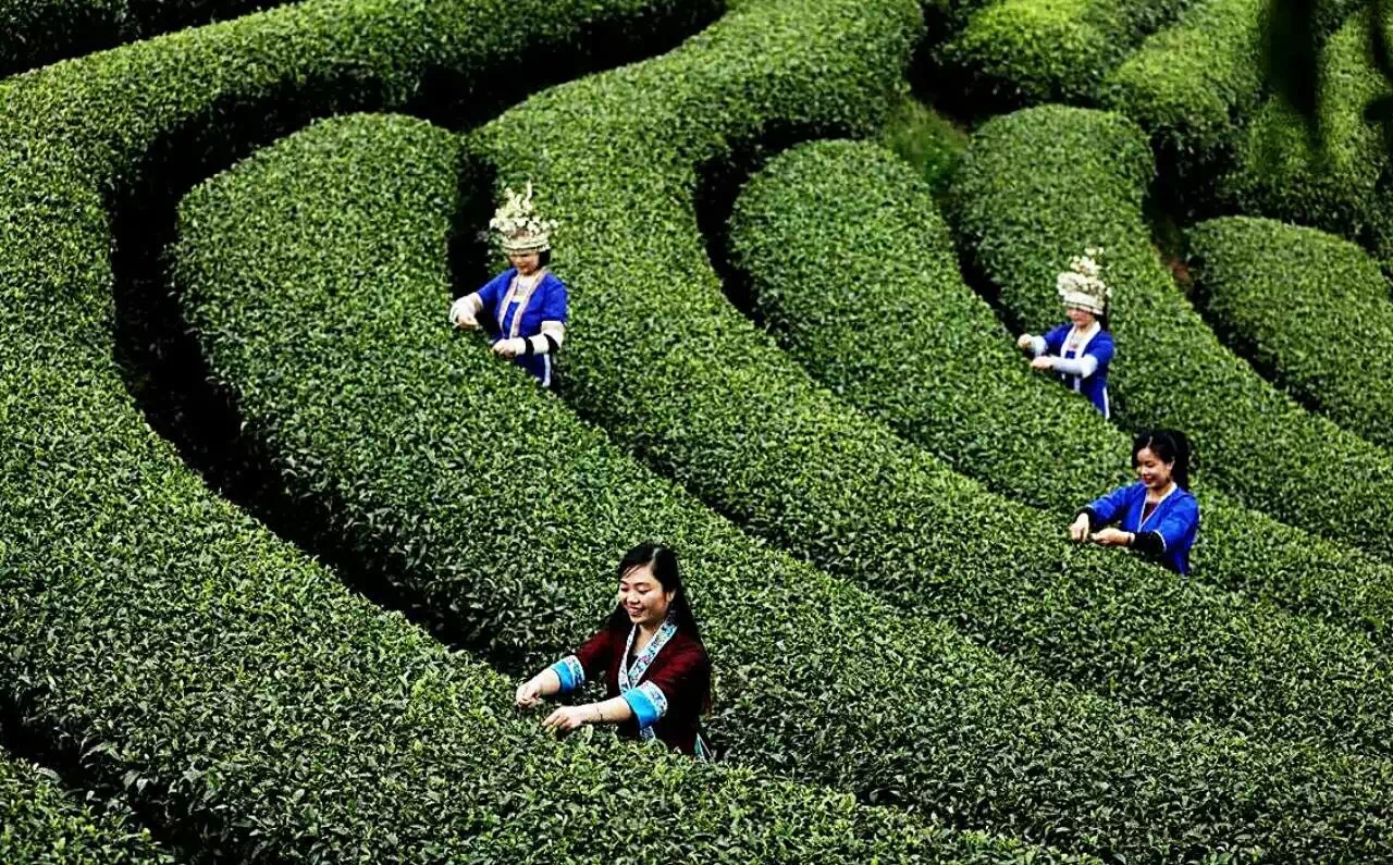 骞胯タ涓夋睙姊敯缇庡コ鍥剧墖,渚楁棌涓夋睙缇庡コ