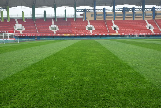 建业足球主场草皮,河南建业主场草皮翻新视频
