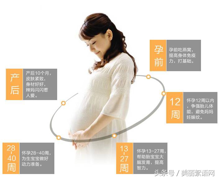 孕期吃燕窝真的有必要吗,孕期到底该不该吃燕窝