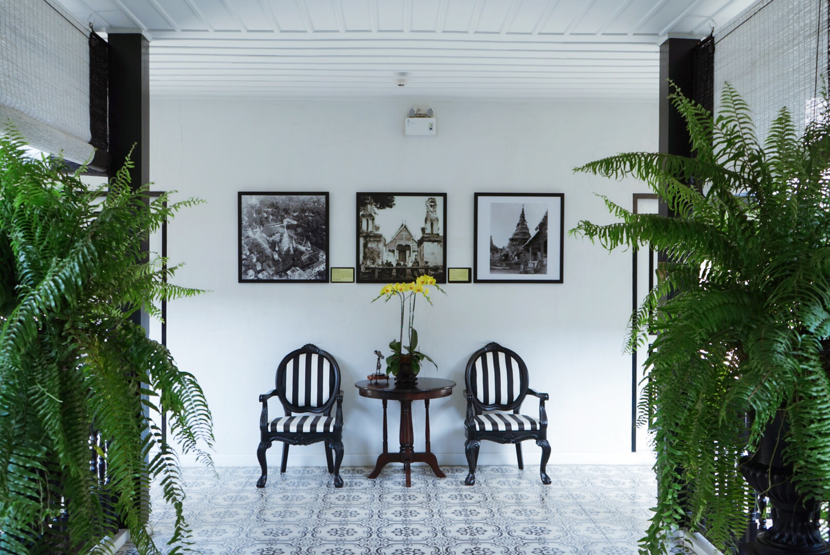 泰国便宜的海景房酒店,朴素精品酒店