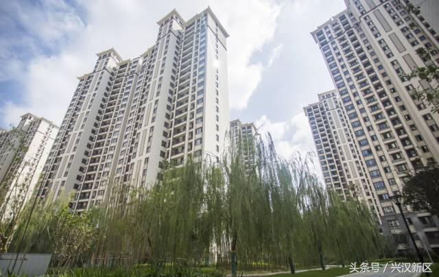 惊！安置区这么美，原来出自他们之手！