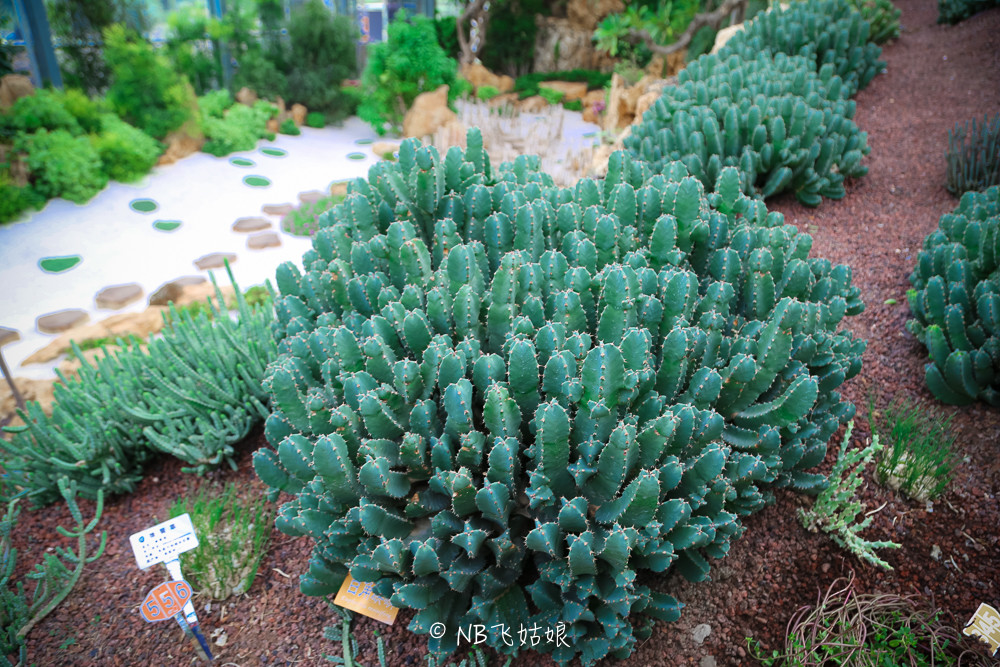 南通滨江公园亲子游,南通洲际绿博园有什么好玩的