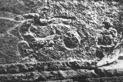 足球发源的历史,足球起源简短介绍中国人